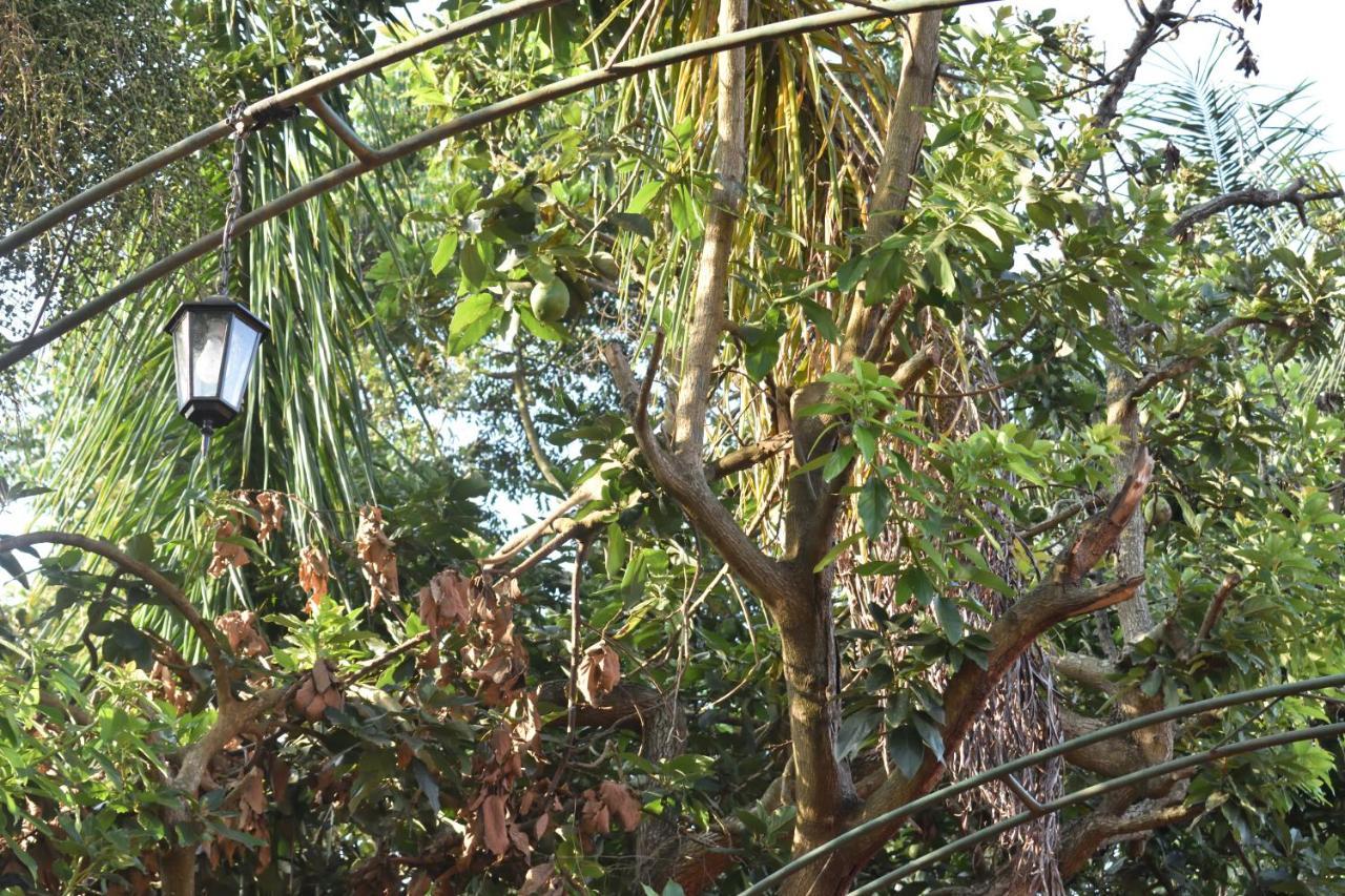 Secrets Guest House Entebbe Exterior photo